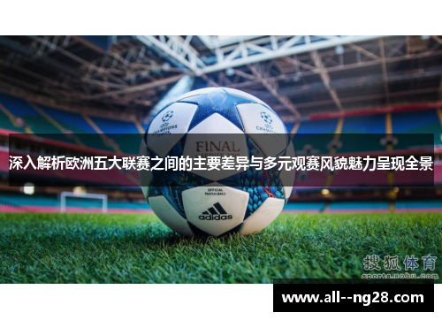 深入解析欧洲五大联赛之间的主要差异与多元观赛风貌魅力呈现全景